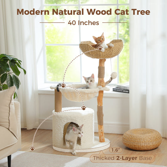 PAWZ Road | 102cm Albero con Tiragriffi per Gatti di Legno puro