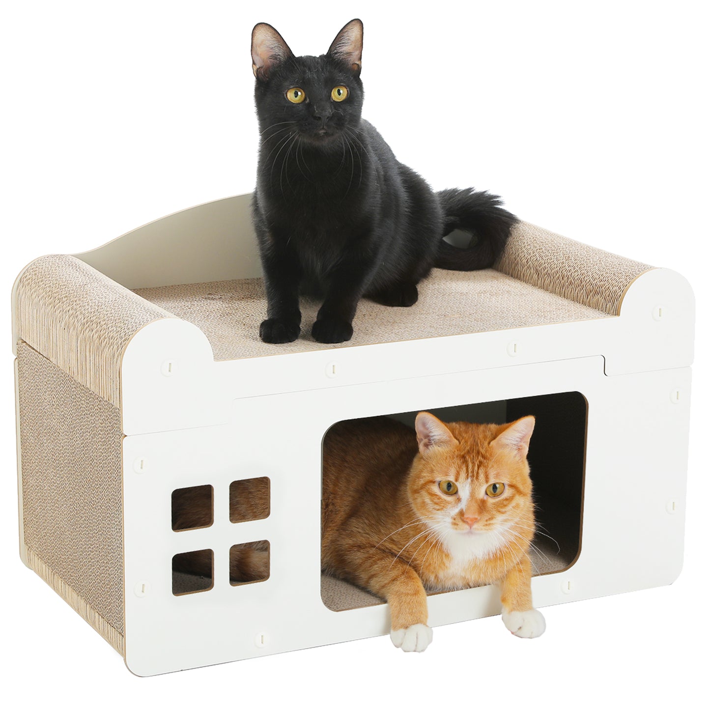 PAWZ Road | Tiragraffi con copertura rimovibile 2-in-1