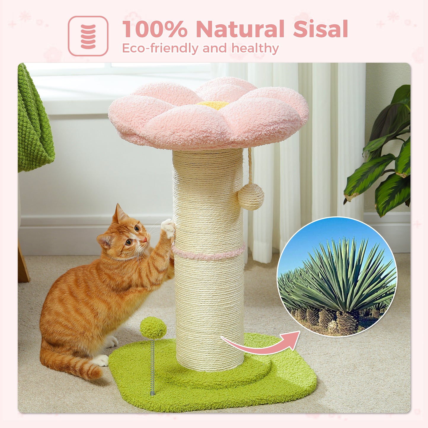 PAWZ Road | Tiragriffi a forma di fiore in sisal