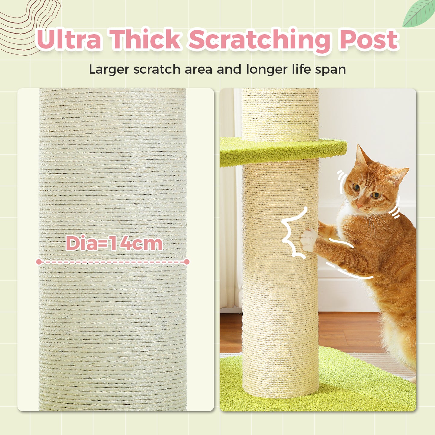 PAWZ Road | Tiragriffi a forma di fiore