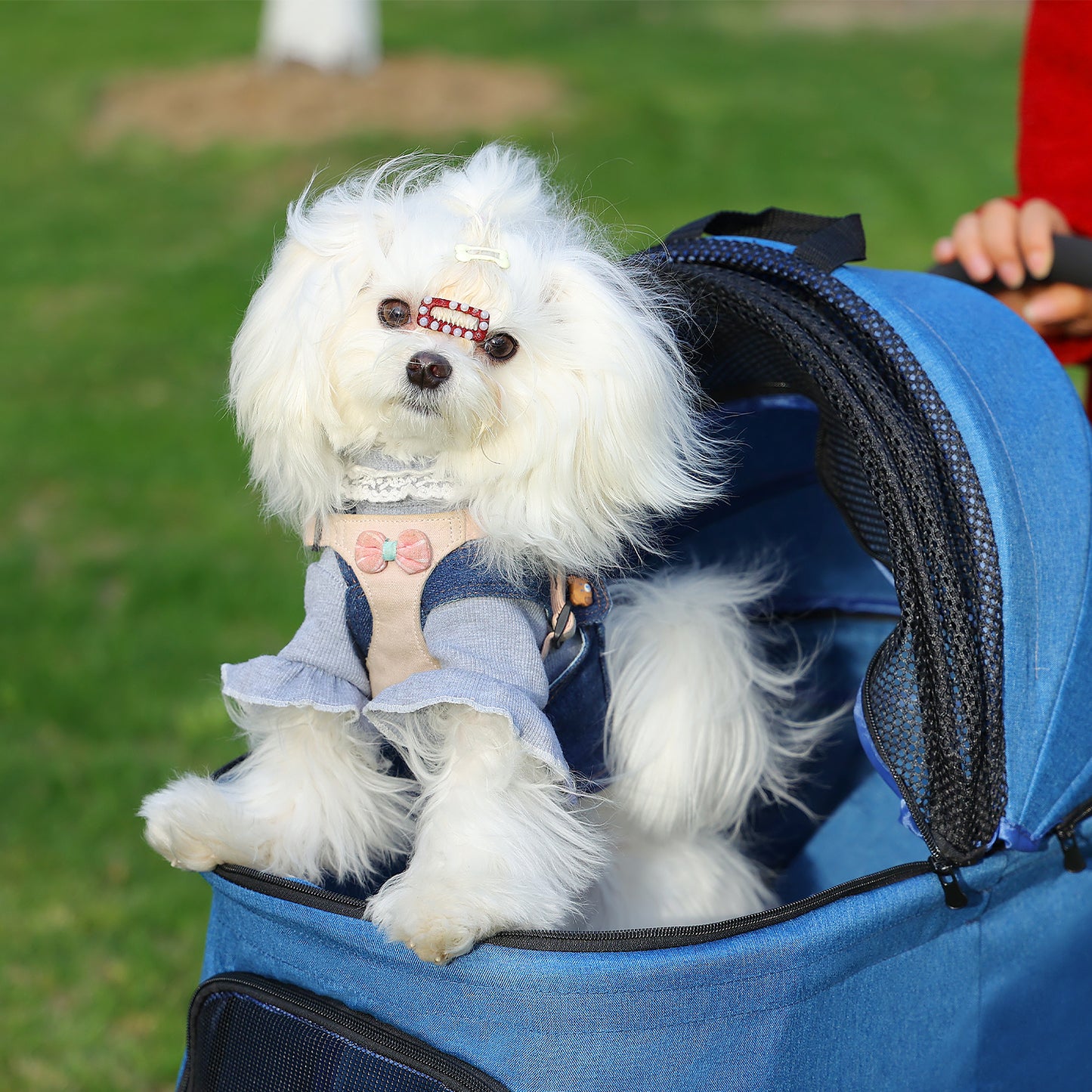 PAWZ Road | Carello per animali domestici a due cuccia