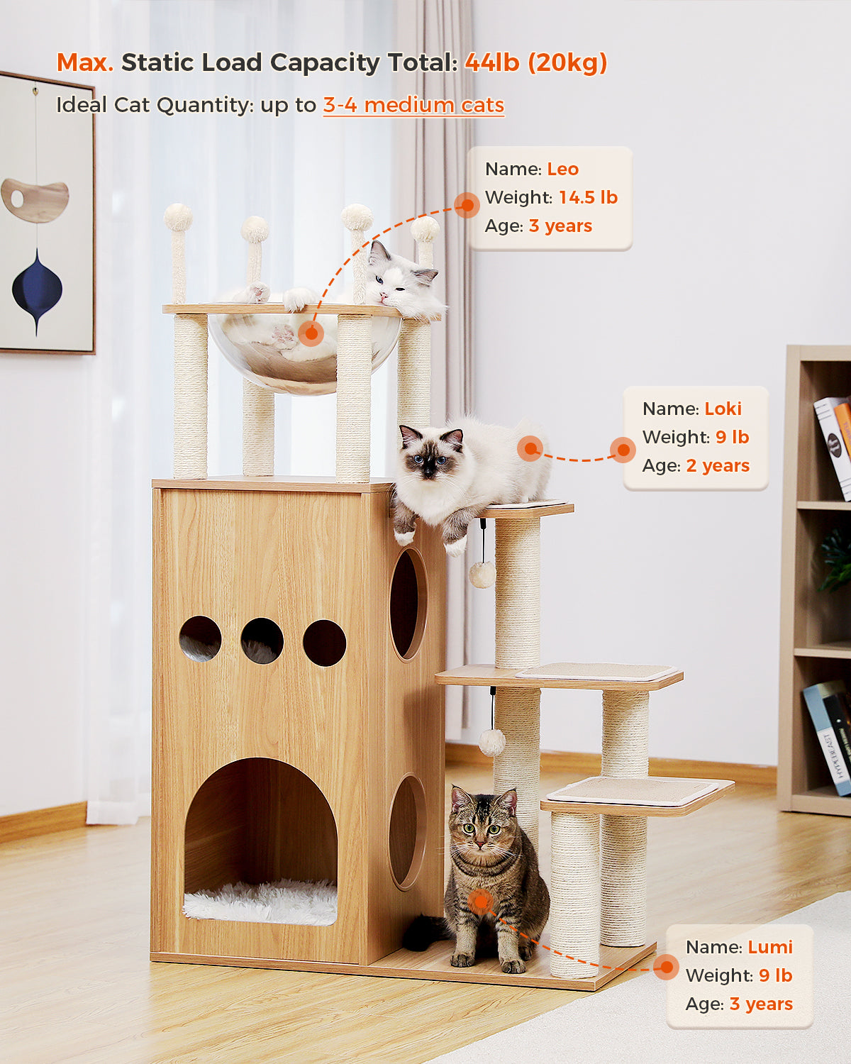 PAWZ Road | 130cm Tiragraffi di legno