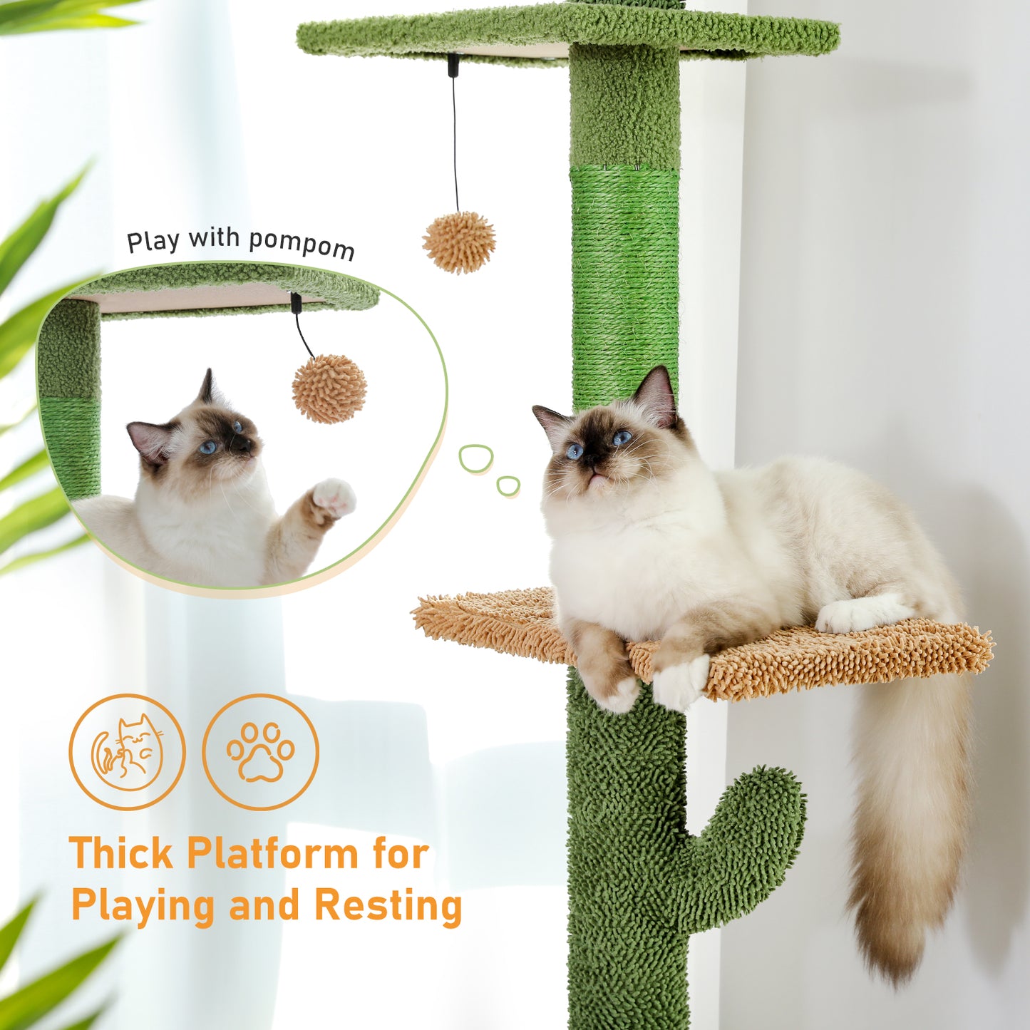 PAWZ Road | 240cm Tiragriffi Cactus con allungamento fino al soffitto