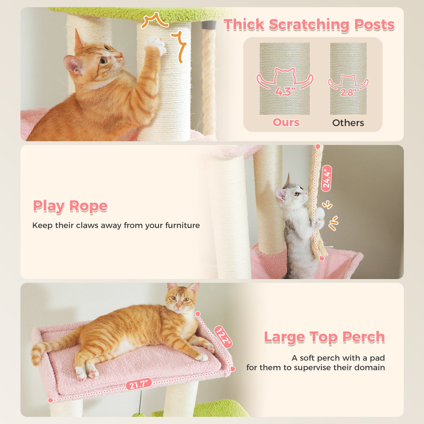 PAWZ Road | 170cm Tiragriffi XXL