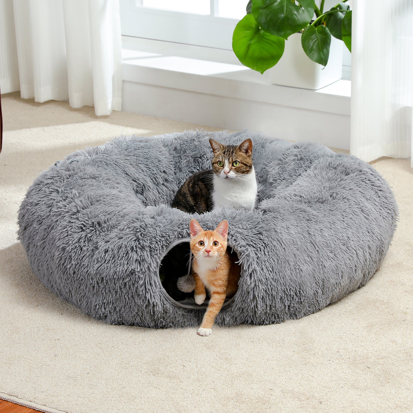 PAWZ Road | Tunnel Morbido per Gatti