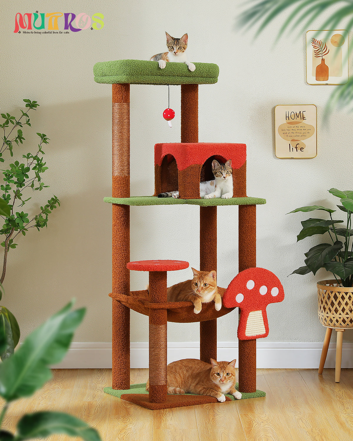 PAWZ Road | 140cm Tiragraffi a quattro piani