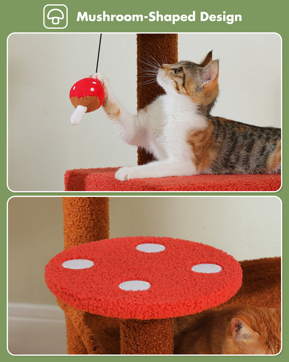 PAWZ Road | 140cm Tiragraffi a quattro piani