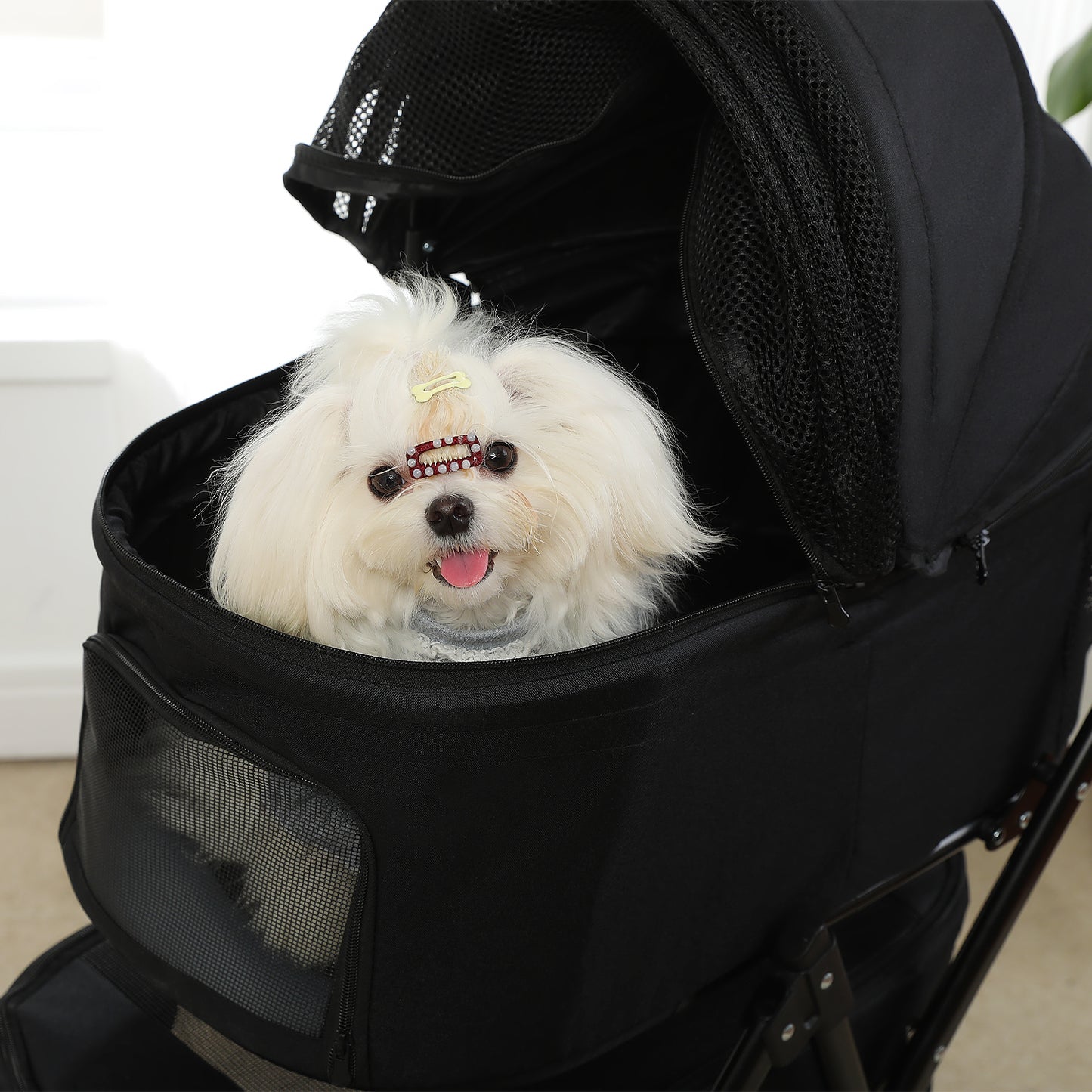 PAWZ Road | Carello per animali domestici a due cuccia