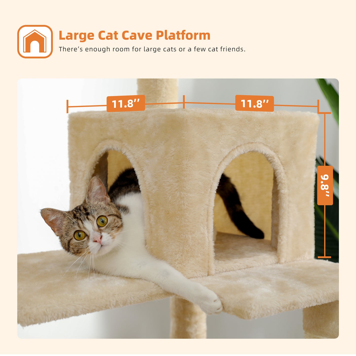 PAWZ Road | 140cm Tiragraffi a quattro piani