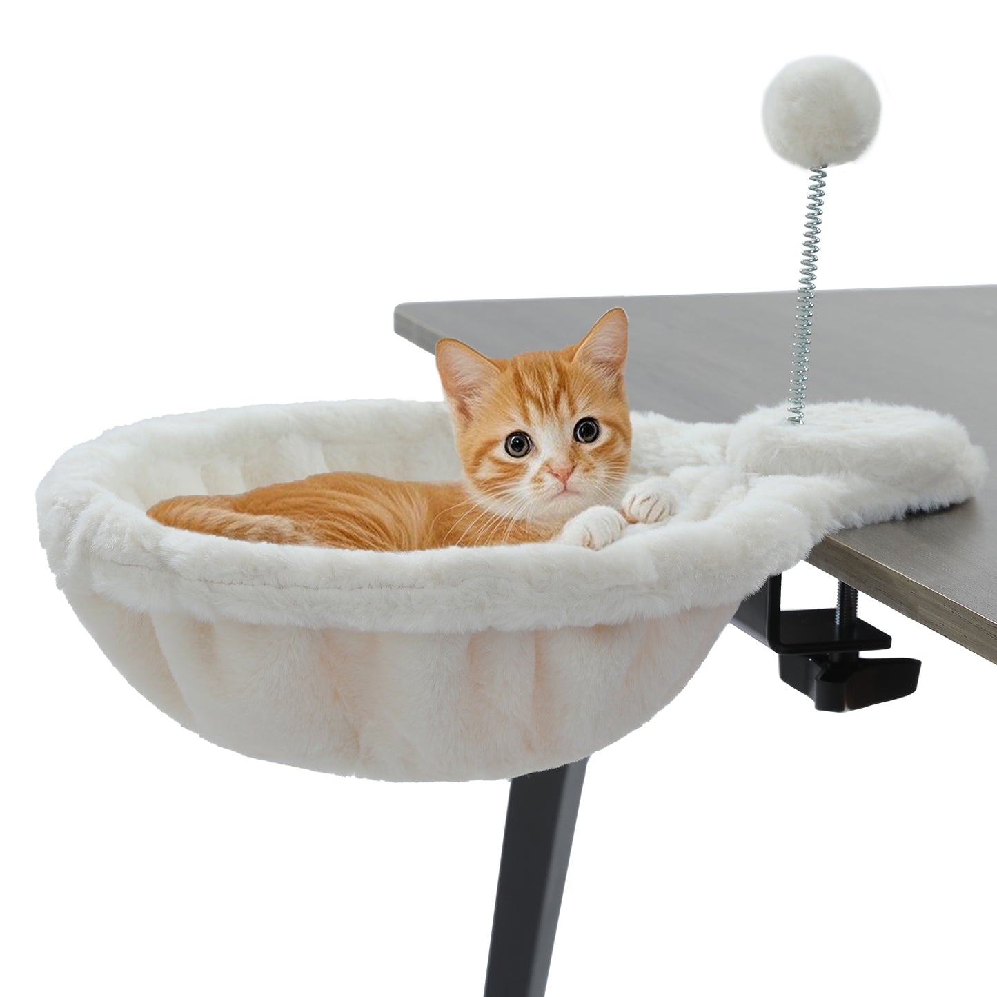 PAWZ Road | Cuccia per gatti sulla scrivania
