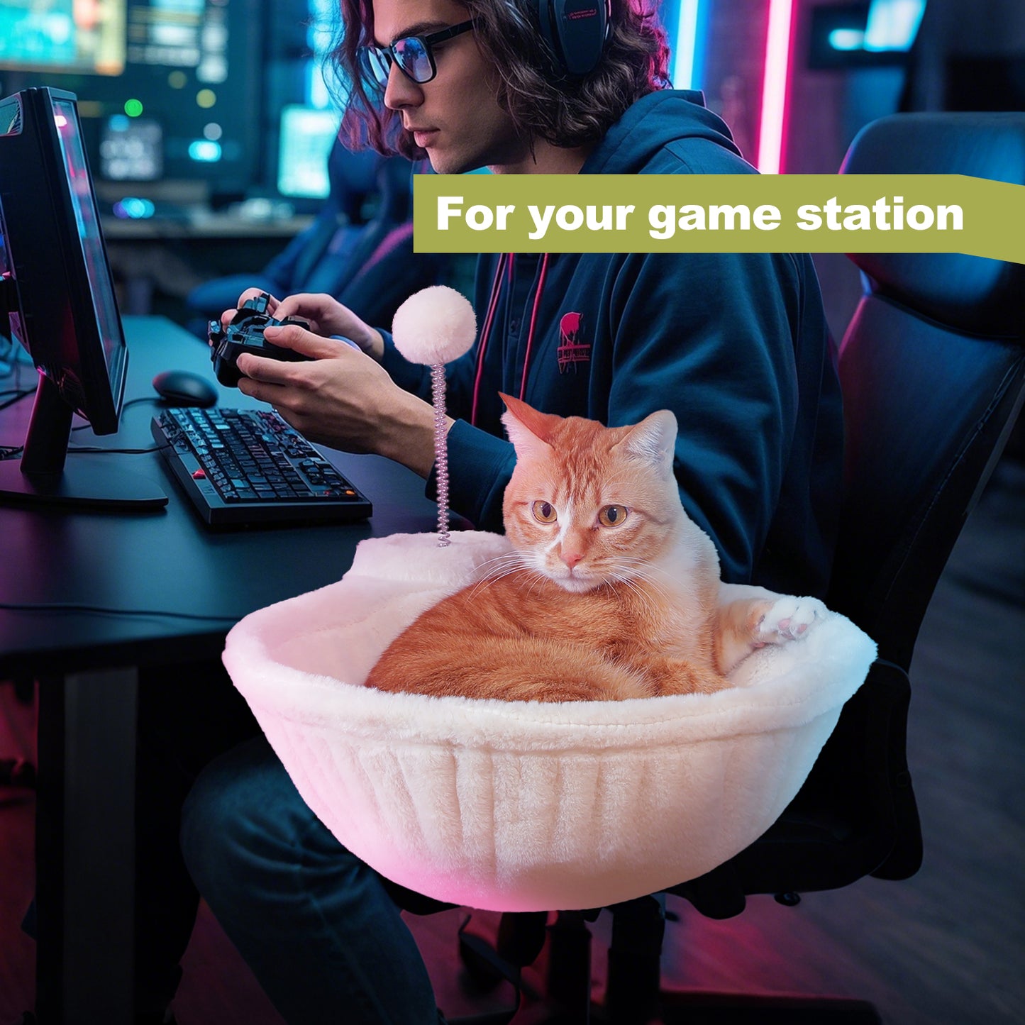 PAWZ Road | Cuccia per gatti sulla scrivania