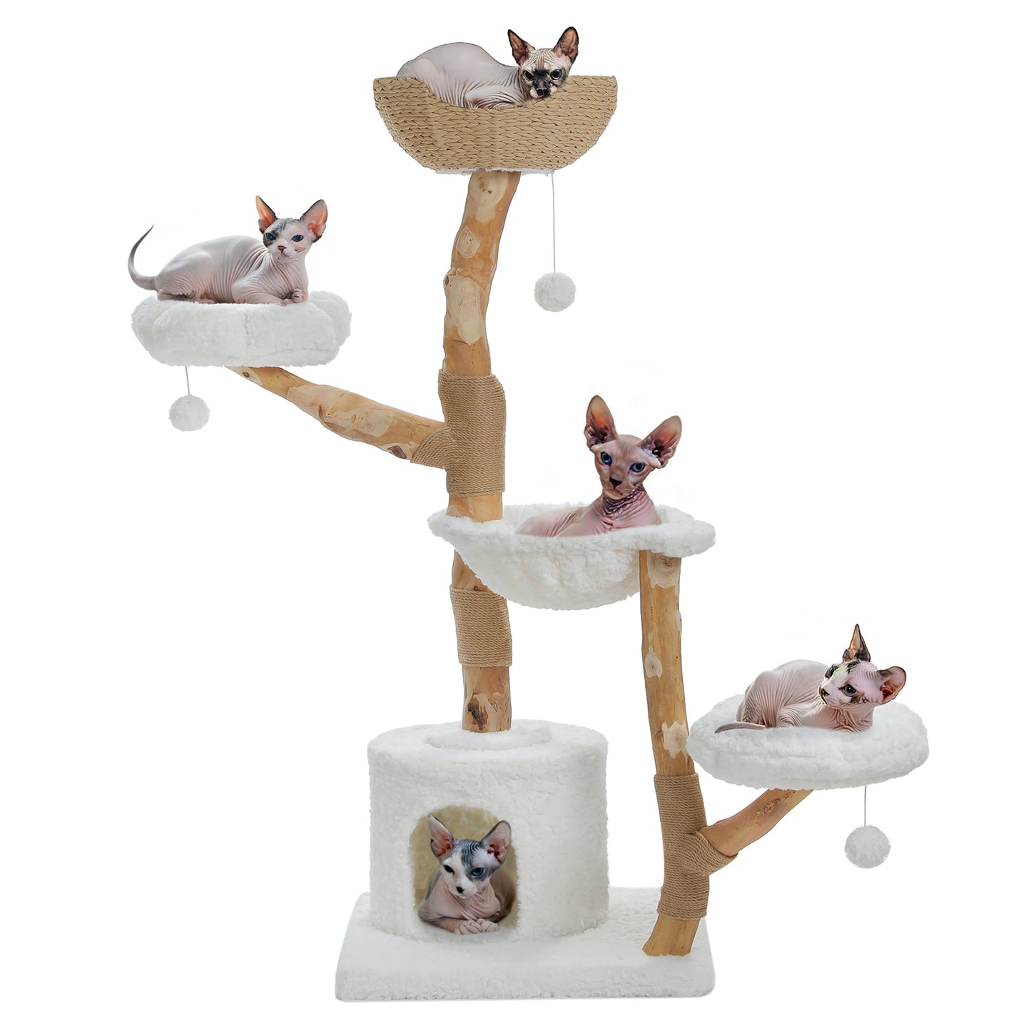 PAWZ Road | 150cm Tiragriffi XXL di legno puro