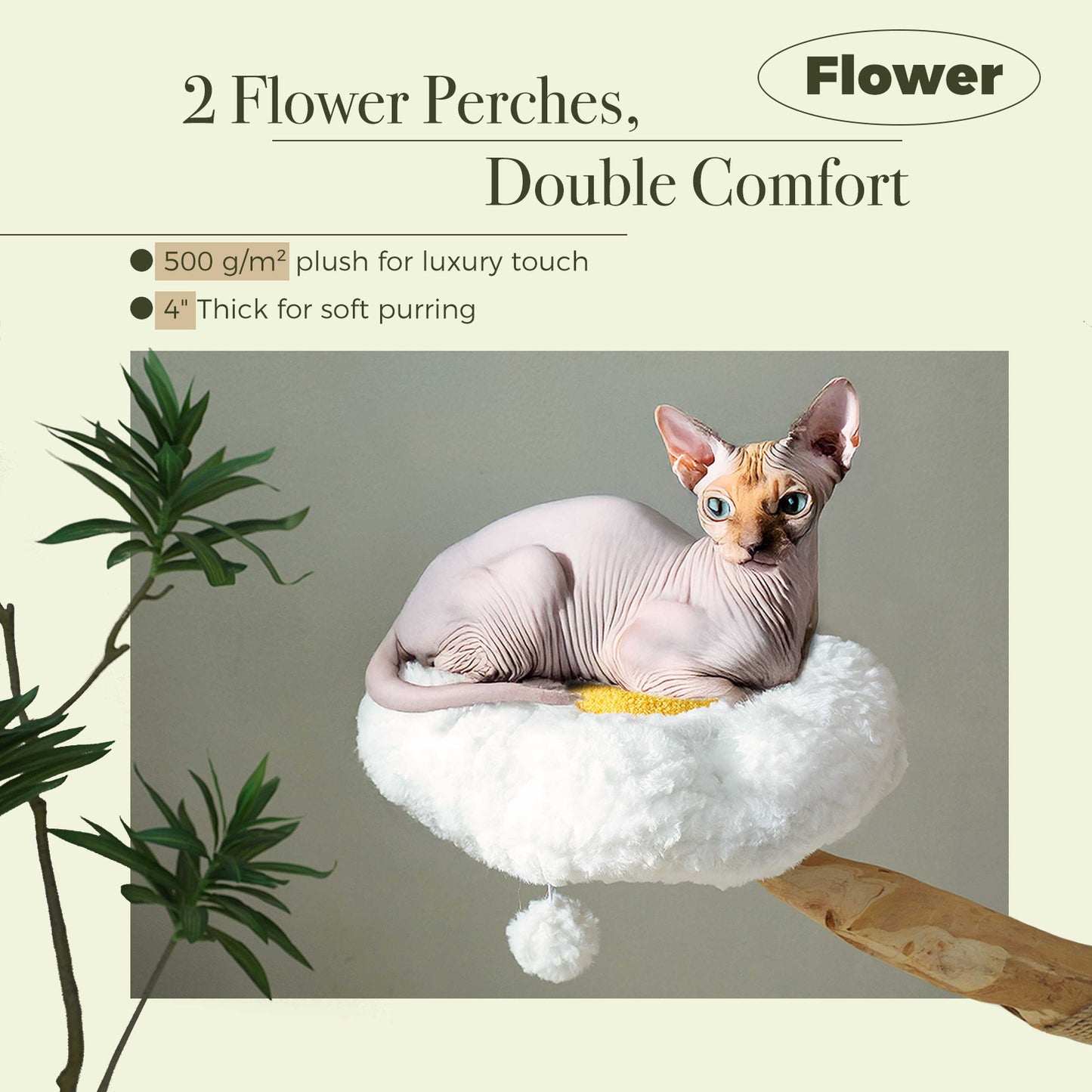 PAWZ Road | 150cm Tiragriffi XXL di legno puro