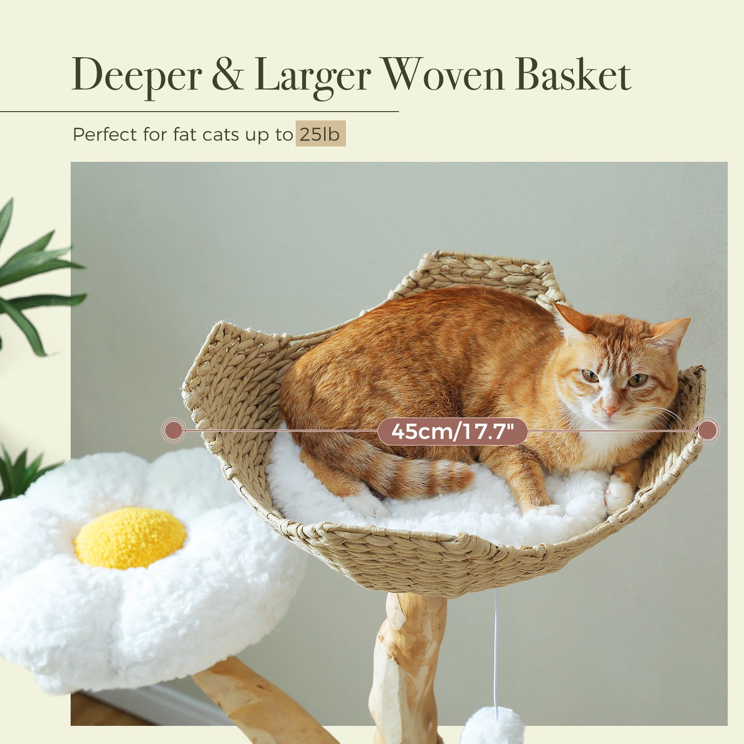 PAWZ Road | 150cm Tiragriffi XXL di legno puro