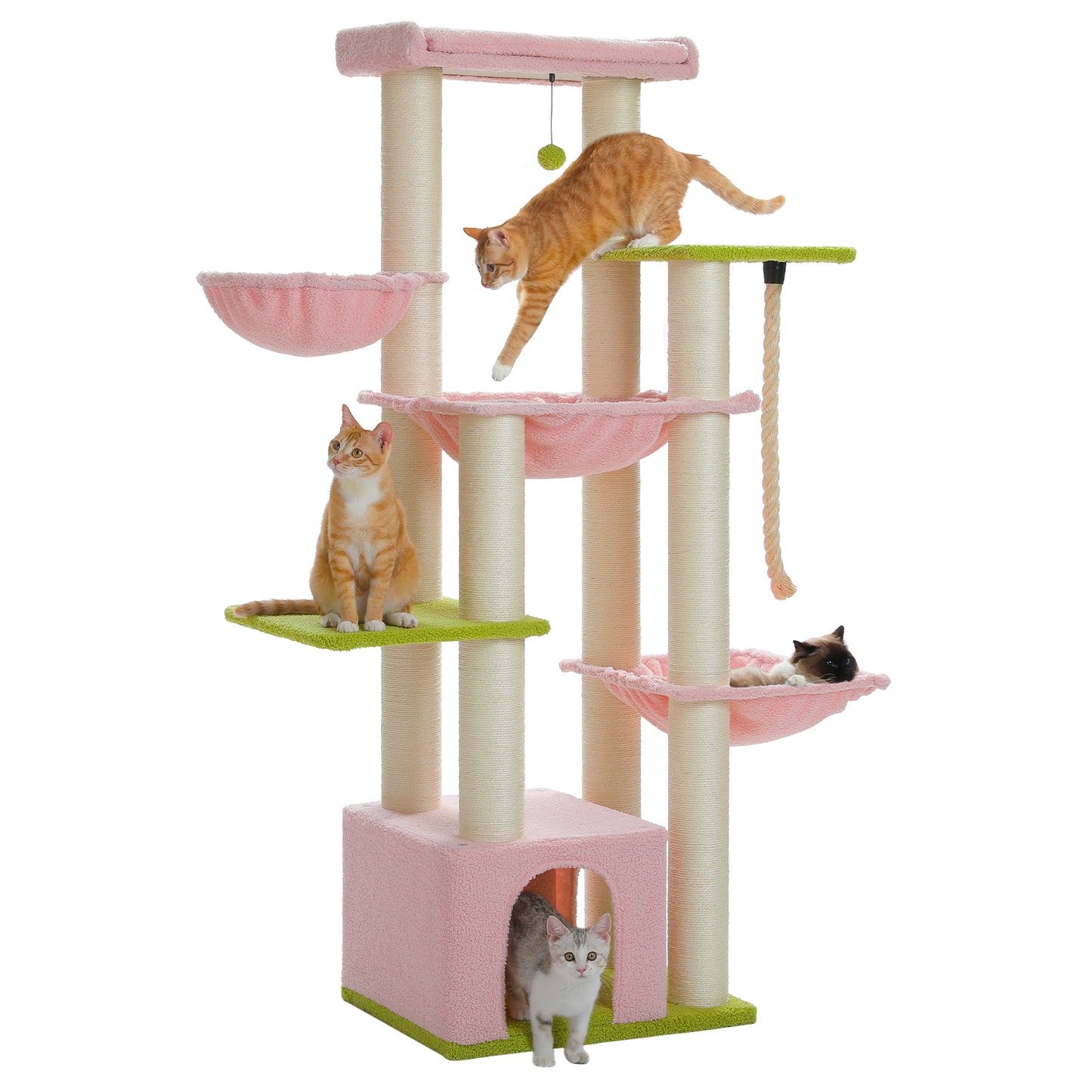 PAWZ Road | 170cm Tiragriffi XXL